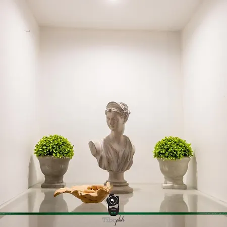 Terrasse Royale Au Coeur De Nantes